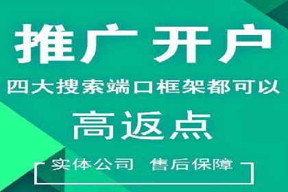 SEM竞价代运营公司实战案例分析