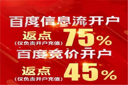 百度竞价推广公司成功案例揭秘：广告投放的五大误区与对策
